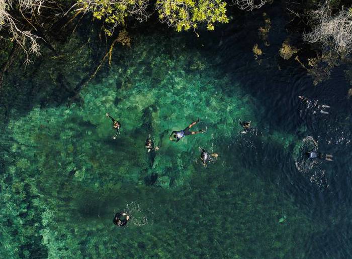 Pessoas nadando no rio de Bonito, com água cristalina e árvores em volta dessa famosa trilha turística.