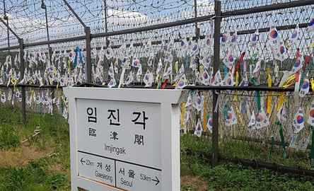 Zona Desmilitarizada da Coreia do Sul: excursão de meio dia