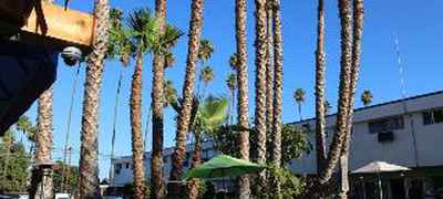 Los Angeles Backpackers Paradise Hostel