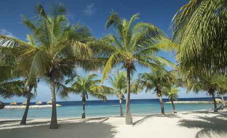 Blue Bay Lodges - Sunny Curacao