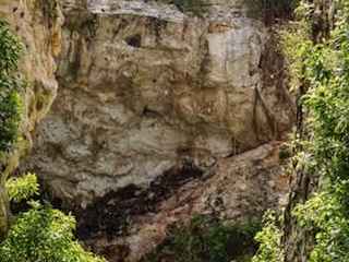 Excursão de meio dia a três cenotes em Cascabel, Chacsinkín e Xooch'