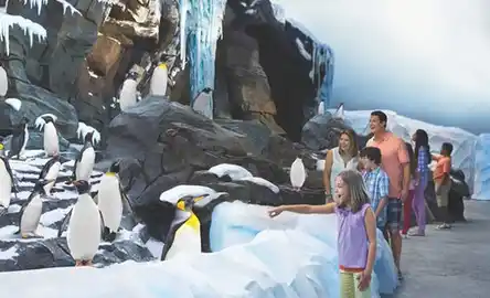 SeaWorld Orlando: Ingresso de entrada com fila rápida opcional