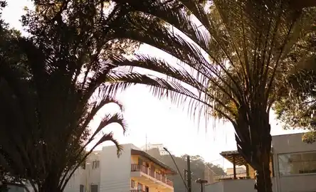 Hotel Prainha
