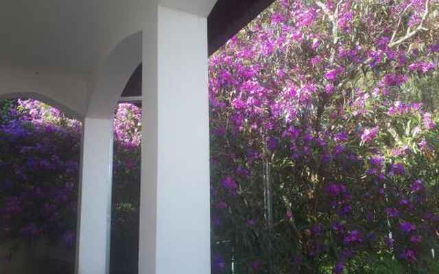 Office Hostel