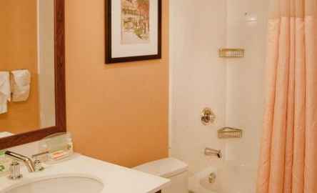 Holiday Inn St. Louis - Forest Park