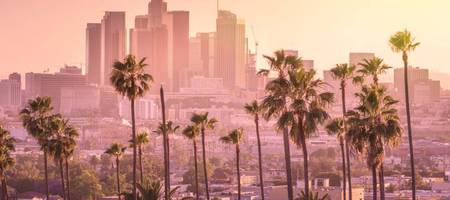 Foto de belo pôr do sol do centro de Los Angeles, com grandes palmeiras à frente e prédios ao fundo.
