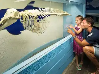 Aquário interativo de Cancún: ingresso