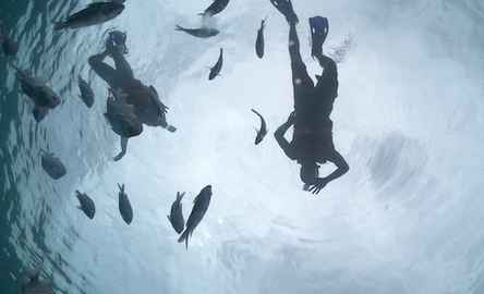Cozumel: Glass Boat, Drinks and Snorkel Tour