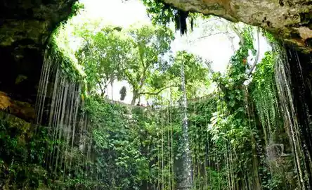 Cancún: Chichén Itzá, Cenote Chichi Kan e Valladolid Tour com almoço + transporte