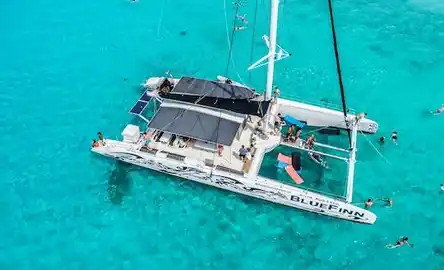 Viagem de mergulho 3 em 1 com o catamarã BlueFinn