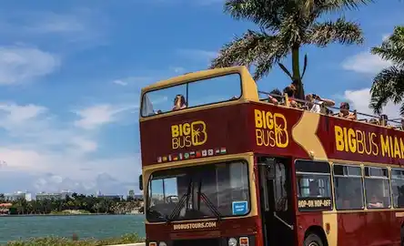 Miami: City Tour Panorâmico + Cruzeiro de Iate