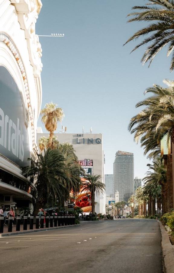 Descubra a emocionante vida noturna de Las Vegas, com festas animadas, bares sofisticados e cassinos que nunca fecham suas portas.