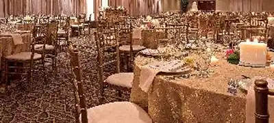 Embassy Suites Chicago - Schaumburg/Woodfield