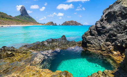 Ilha Tour + Passeio de Barco Vip com Planasub + Canoa Havaiana - 2022