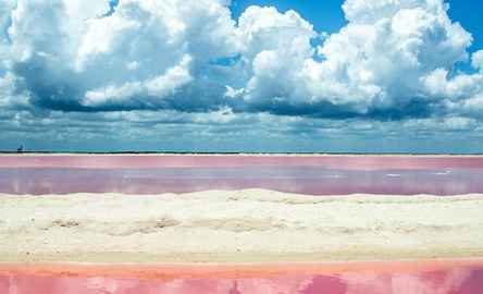 Río Lagartos e Las Coloradas: Visita Guiada, Almoço com Bebidas + Transfer