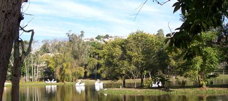 Parque sereno com lago e pedalinhos em forma de cisne, rodeado por uma paisagem verde e colinas ao fundo, perfeito para um dia de relaxamento ao ar livre.