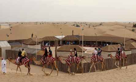 Red Dunes Safari and Camel Safari with BBQ at Al Khayma Camp
