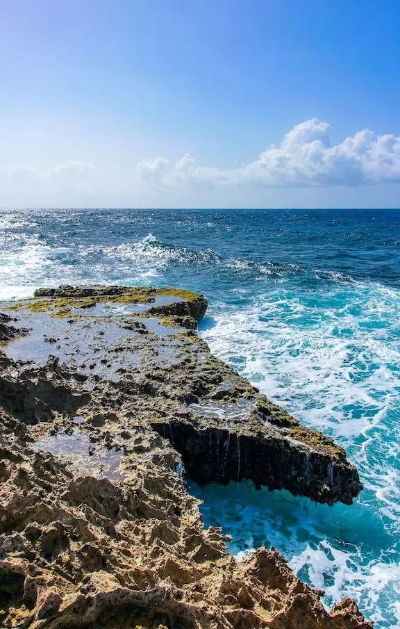 Relaxe nas praias de areia branca de Curaçao, com águas cristalinas e coqueiros que oferecem o cenário perfeito para férias tropicais.