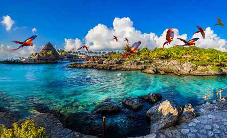 Tour Xcaret Plus