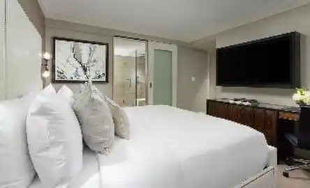 The Manhattan at Times Square Hotel