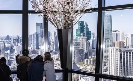 Torre de Tóquio: Entrada para o convés principal + bilhete do metrô de Tóquio