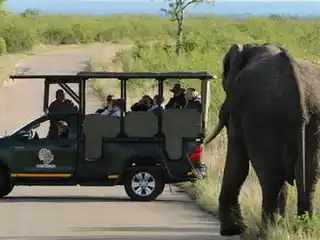 Safari privado de dia inteiro no Parque Nacional Kruger