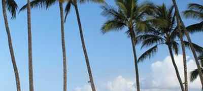 Wailea Ekahi Village: Destination Residences Hawaii