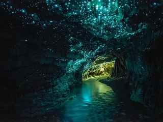 Tour pela caverna Waitomo Glowworm com passeio de barco