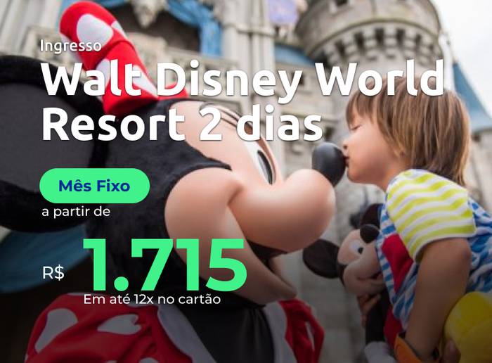 Walt Disney World Resort, Ingresso