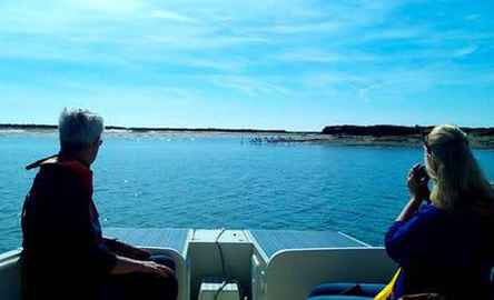 Passeio de barco solar ecológico no Algarve na Ria Formosa a partir de Faro