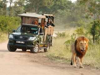 Safari privado à tarde no Parque Nacional Kruger
