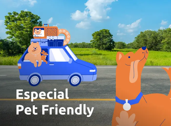 especial pet friendly