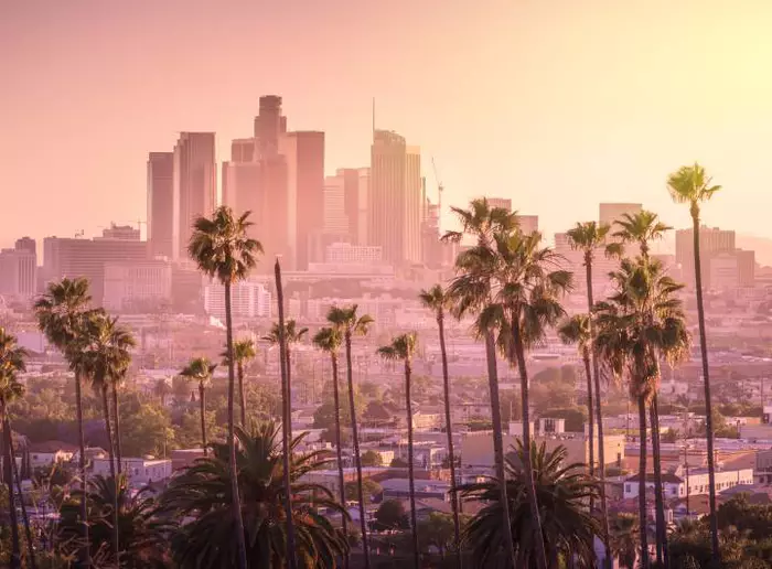 Foto de belo pôr do sol do centro de Los Angeles, com grandes palmeiras à frente e prédios ao fundo.