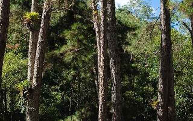 AMADAMATA - Refúgio Ecológico