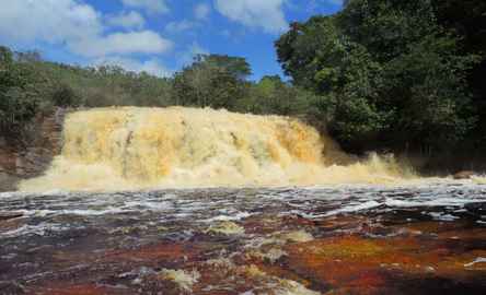 Pacote de Viagem Amazônia (Manaus + Cachoeiras de Presidente Figueiredo) - 2022