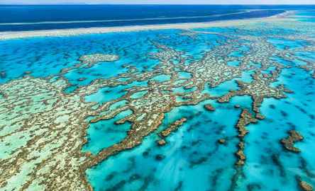 Full-day snorkel experience at the Great Barrier Reef