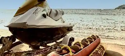 Tamarindo Diria