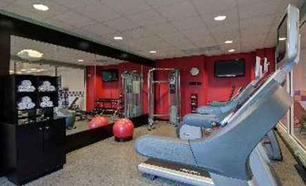 Hilton Garden Inn Detroit Metro Airport
