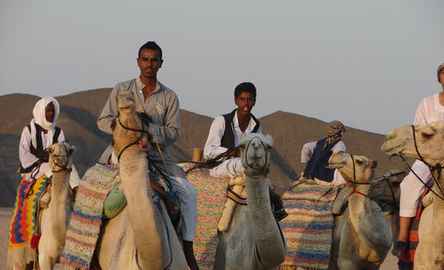 Experiência de quadriciclo com passeio de camelo no deserto de Marsa Alam